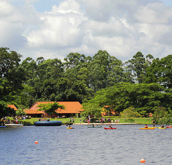 Our home, surrounded by nature